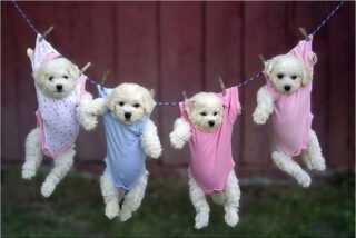 Pron&oacute;stico del Tiempo: Espa&ntilde;a enfrenta calima y tormentas este mi&eacute;rcoles 22 de abril de 2026