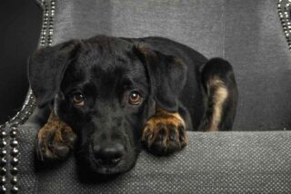 Pron&oacute;stico del Tiempo este lunes 19 de enero de 2026