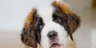 Pron&oacute;stico del Tiempo: ascenso t&eacute;rmico y vientos intensos este lunes 30 de marzo de 2026