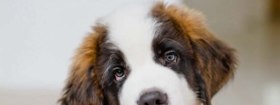 Pron&oacute;stico del Tiempo: ascenso t&eacute;rmico y vientos intensos este lunes 30 de marzo de 2026