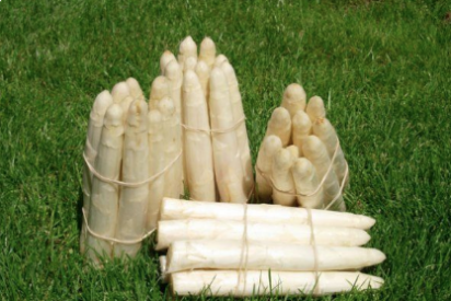 Espárragos de Tudela. 