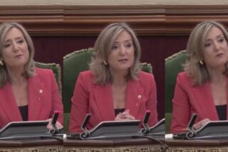 Cristina Ibarrola.