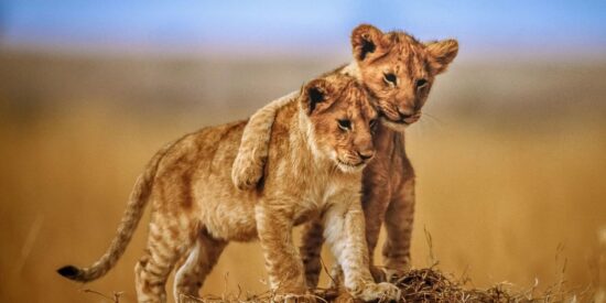 Pronóstico del Tiempo: calor intenso y escasas lluvias en España este sábado 23 de agosto de 2025