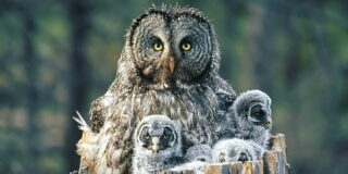 Pron&oacute;stico del Tiempo: llega un frente a Espa&ntilde;a con lluv&iacute;a y algo de fr&iacute;o este 25 de octubre de 2024