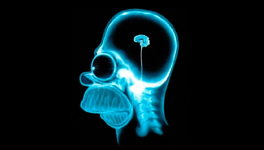 &ldquo;Ventajas de la ignorancia&rdquo;