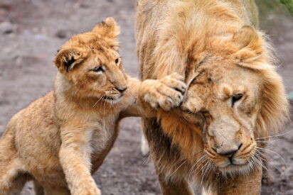 Pron&oacute;stico del Tiempo: fr&iacute;o y lluvia este 7 de diciembre de 2023