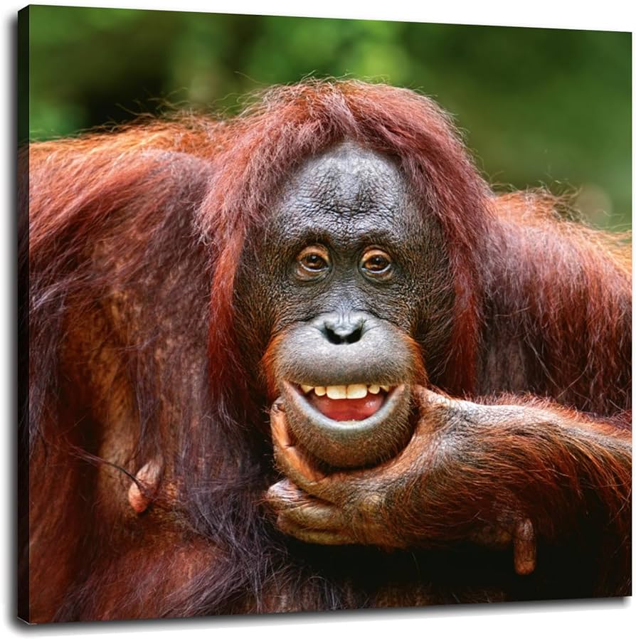 Chiste: el del otorrino y otros tres cortos y malos