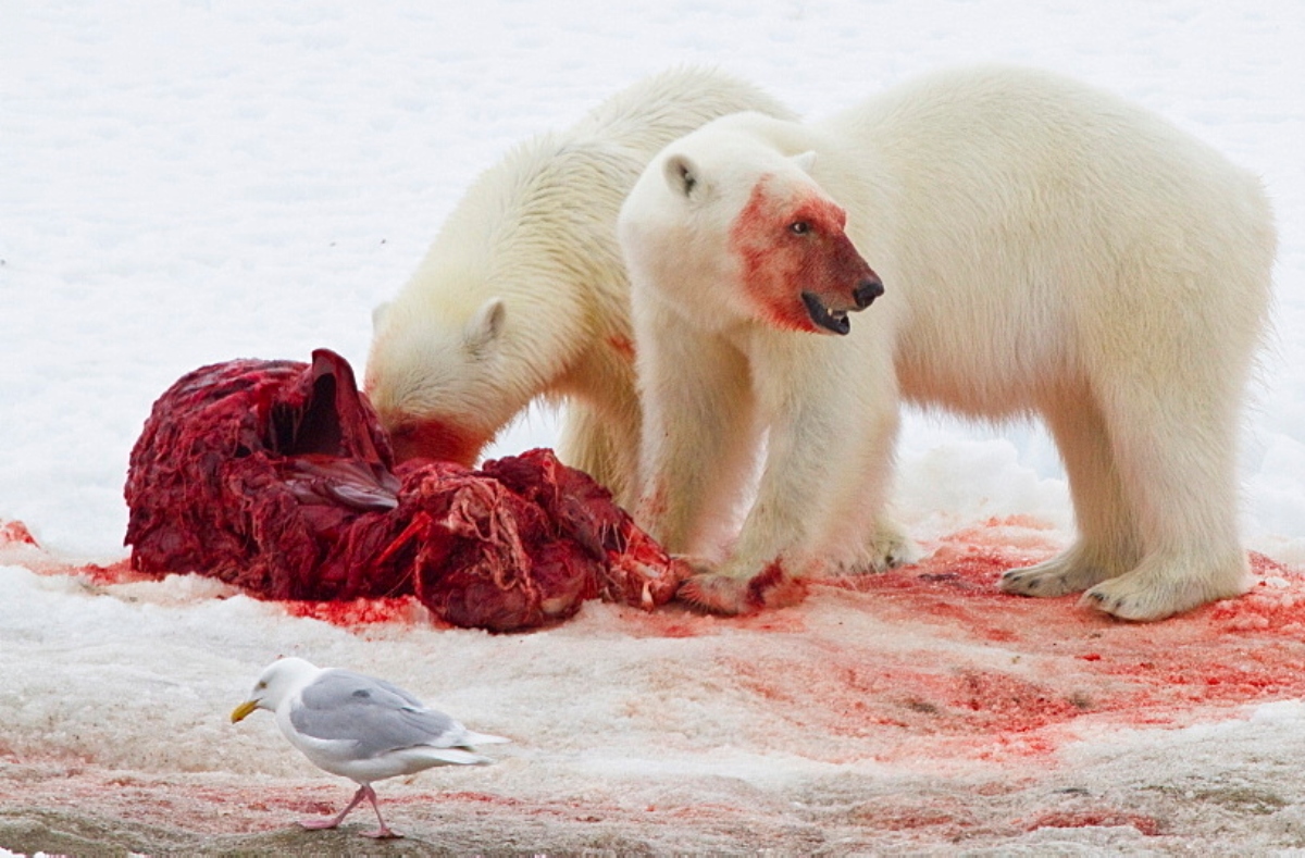 Pron&oacute;stico del Tiempo: soleado, h&uacute;medo y fresco este 2 de febrero de 2024