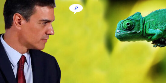 PEDRO CAMALE&Oacute;N O PEDRO PRIMAVERA