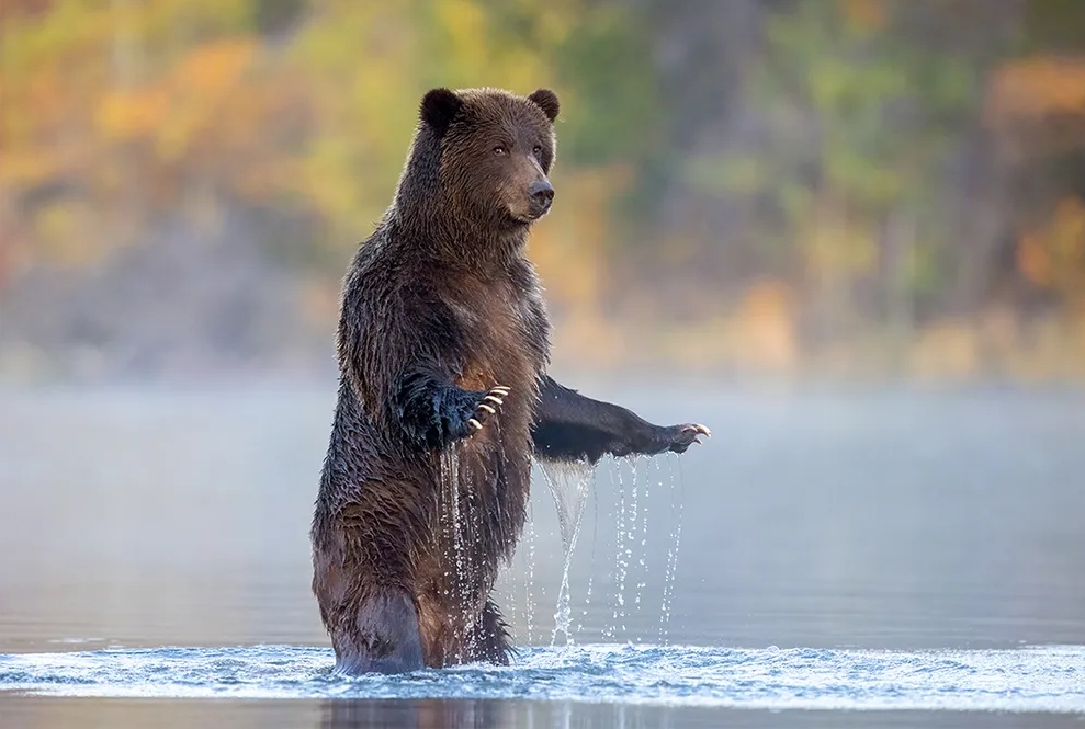 Pron&oacute;stico del Tiempo: nuboso y caliente este 21 de marzo de 2024
