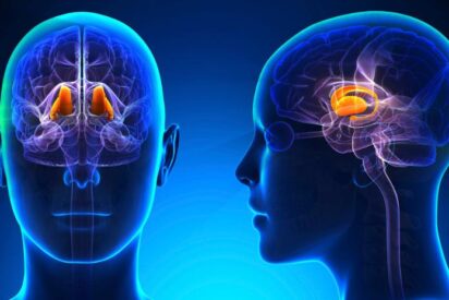 Despert&oacute; cuando iban a extirparle los &oacute;rganos, y otras historias de regreso a la vida