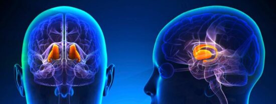 Reprogramar las defensas del cerebro: la prometedora mol&eacute;cula que planta cara al Alzheimer