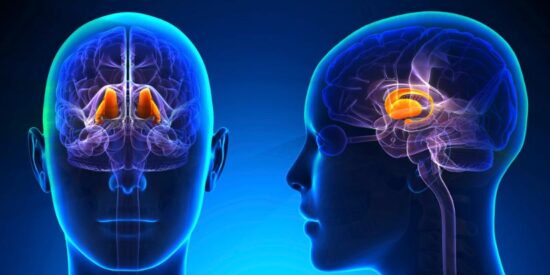 Reprogramar las defensas del cerebro: la prometedora mol&eacute;cula que planta cara al Alzheimer