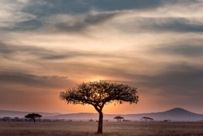 Paisaje en Tanzania