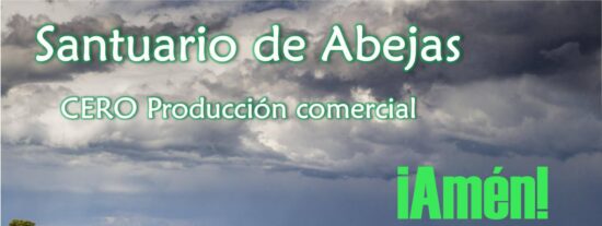 &ldquo;DE LOS SANTOS &Oacute;LEOS TRIBUTARIOS, LA ABEJA MAYA Y OTRAS HISTORIAS PARA NO DORMIR&rdquo;