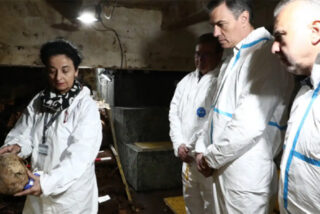 Pedro S&aacute;nchez mira atentamente un cr&aacute;neo en el Valle de los Ca&iacute;dos. 