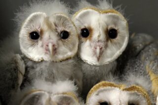 Pron&oacute;stico del Tiempo: tormentas, calor y contrastes en Espa&ntilde;a este lunes 29 de septiembre de 2025