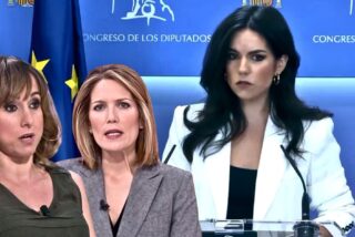 Pepa Mill&aacute;n (Vox) retrata a los periodistas palmeros que son servirles con el Gobierno
