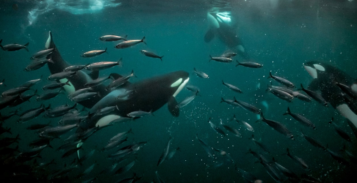 Pron&oacute;stico del Tiempo: una DANA, sol, calima y tormentas todo a la vez este 30 de agosto de 2024