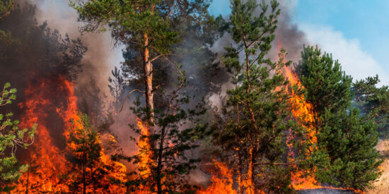 Castilla y Le&oacute;n declara la alerta por incendios forestales los d&iacute;as 9, 10 y 11 de agosto