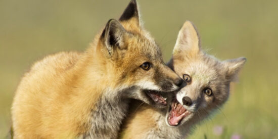 Pronóstico del Tiempo: España entre la calma y la lluvia este lunes 28 de julio de 2025