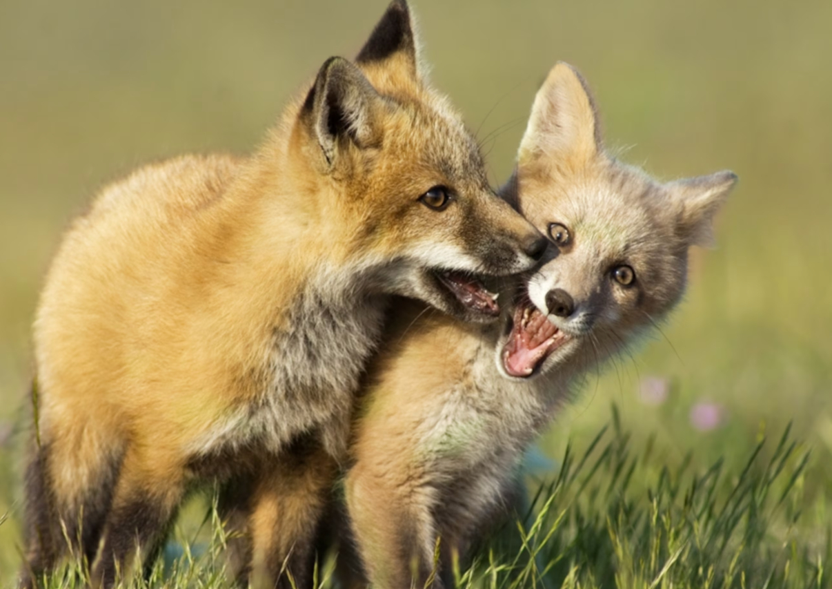 Pronóstico del Tiempo: España entre la calma y la lluvia este lunes 28 de julio de 2025