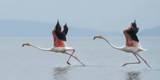Pron&oacute;stico del Tiempo para Espa&ntilde;a este jueves 16 de abril de 2026