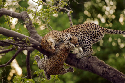 Pron&oacute;stico del Tiempo en Espa&ntilde;a: domingo 7 de septiembre de 2025
