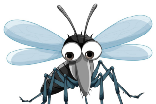 Los mosquitos no creen en Dios