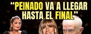 Por qu&eacute; exactamente 'la Pichona', la desaparici&oacute;n de la web del software y el juez Peinado apretando hasta el final