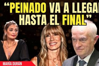 Por qu&eacute; exactamente 'la Pichona', la desaparici&oacute;n de la web del software y el juez Peinado apretando hasta el final