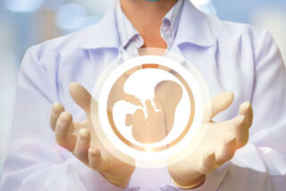 La ministra de desigualdad considera que tratar el tema del aborto en el Senado es convertir la c&aacute;mara en un &ldquo;parque tem&aacute;tico de la ultraderecha&rdquo;. &iexcl;Pobre analfabeta!