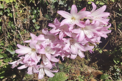 El oto&ntilde;o nos invita a la reflexi&oacute;n, al cambio, a la unidad