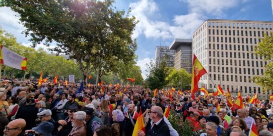 Cerca de 500.000 espa&ntilde;oles exigen elecciones anticipadas: "&iexcl;Este Gobierno es una mafia"