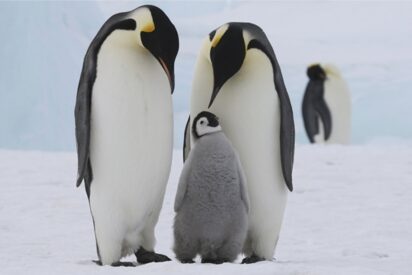 Víctor Corcoba Herrero: “Amar es una ocasión para verse, para revolverse y volverse amor”