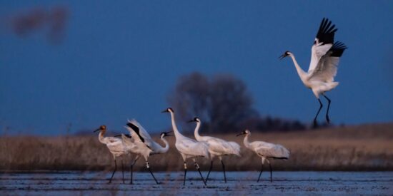 Pron&oacute;stico del Tiempo: Cielos despejados y heladas marcar&aacute;n este 29 de diciembre de 2024