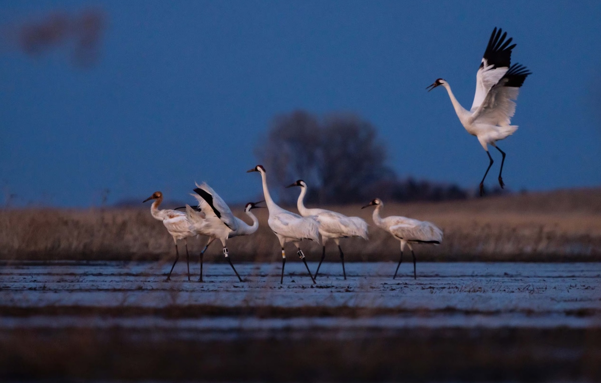 Pron&oacute;stico del Tiempo: Cielos despejados y heladas marcar&aacute;n este 29 de diciembre de 2024
