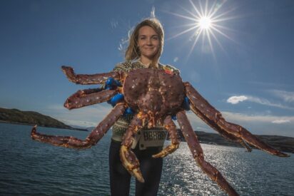 De salm&oacute;n ahumado a 'king crab': Mar de Noruega exhibe sus pescados y mariscos m&aacute;s exquisitos por Navidad