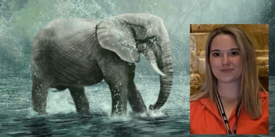 Blanca Ojanguren, la espa&ntilde;ola muerta por el ataque de un elefante en Tailandia