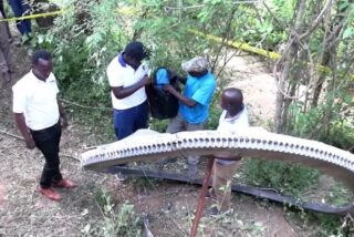 El misterioso anillo espacial de Kenia