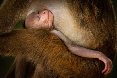 Pronóstico del Tiempo: Lluvia y viento azotan la Península Ibérica este 10 de febrero de 2025