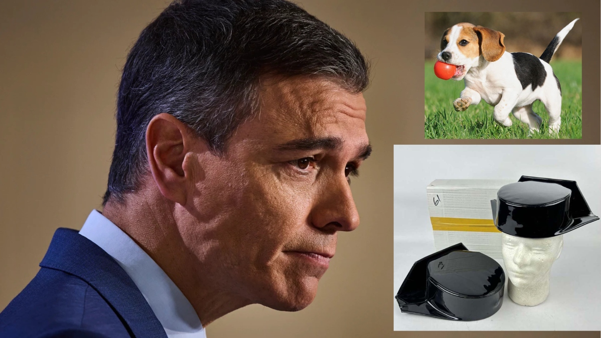 Pedro S&aacute;nchez (PSOE), las mascotas y la Guardia Civil