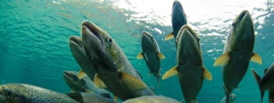 Pron&oacute;stico del Tiempo para este 4 de marzo de 2026