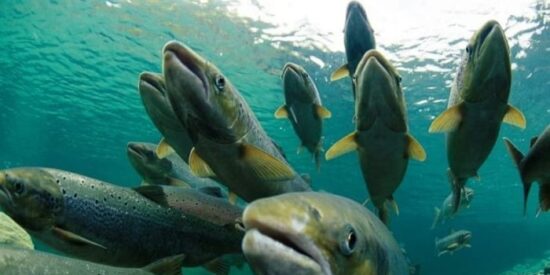 Pron&oacute;stico del Tiempo para este 4 de marzo de 2026