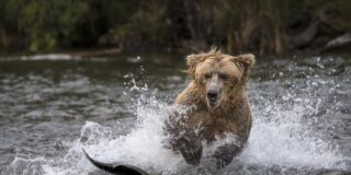 Pron&oacute;stico del Tiempo para este domingo 29 de marzo de 2026