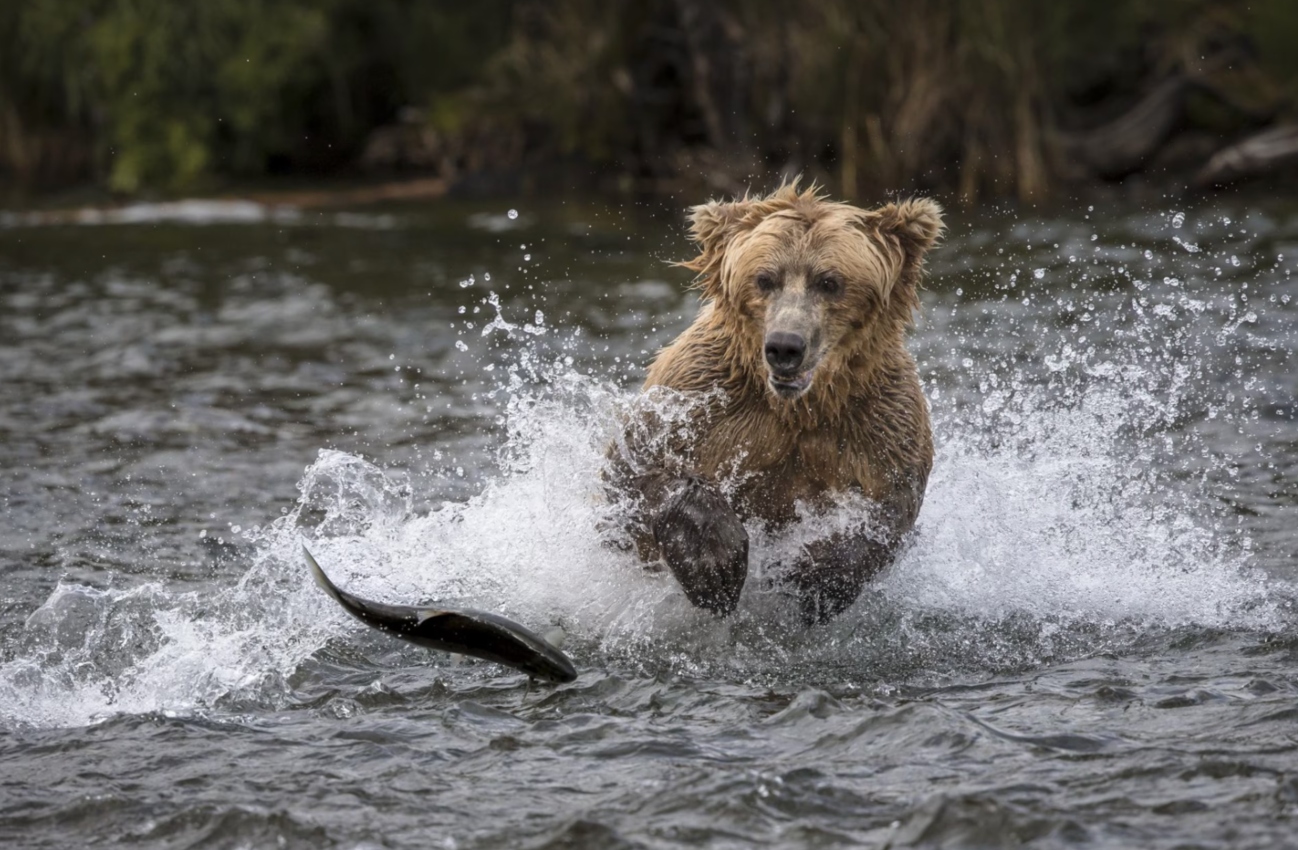 Pronóstico del Tiempo: un martes 2 de diciembre de 2025 lleno de alertas costeras y nieve en las montañas