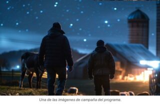 PROVACUNO y APAQ-W anuncian el lanzamiento del programa europeo Sustainable European Beef