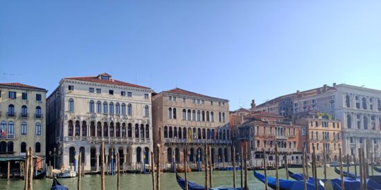 Venecia: La ciudad que flota sobre un bosque sumergido