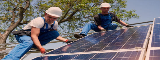 Espa&ntilde;a a pique: r&eacute;quiem por los miles de olivos y naranjos arrancados y decapitados