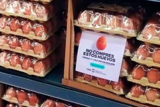 El cartel con 'huevos' que revoluciona los supermercados espa&ntilde;oles
